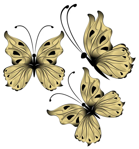 白色底图上明亮美丽的珍珠色蝴蝶 — 图库照片