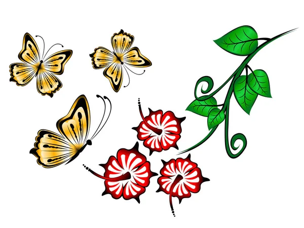 色彩艳丽的蝴蝶 白色底图上有红花 — 图库照片