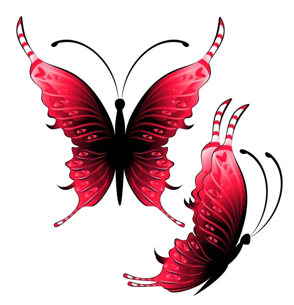 Mariposas Color Rosa Brillante Sobre Fondo Blanco Ilustración — Vector de stock