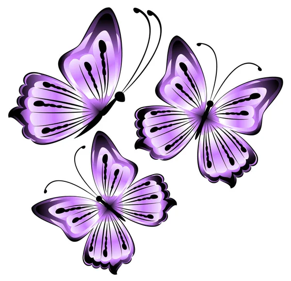 Bright Beautiful Purple Butterflies White Background Illustration — Stock Vector