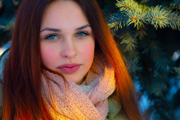 Portrait Girl Winter Evening — Stock Photo, Image