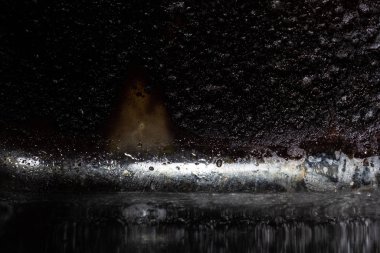 Kirli ve desenli Baking Çarşafı