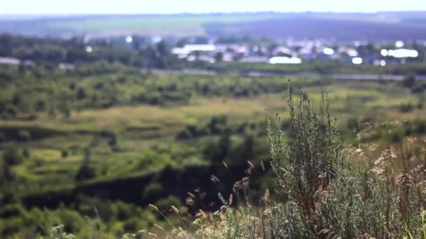 Panorama Colline Campagne — Video