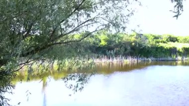 Arka plan doğa kırsal alan, güneş ışığı günü