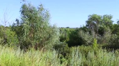 Arka plan doğa kırsal alan, güneş ışığı günü