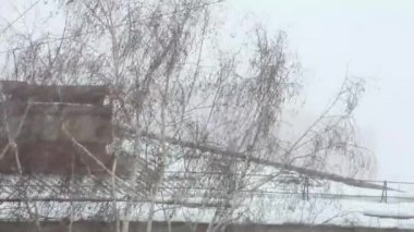 Şehre Kar Düşüyor