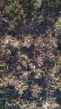 şehirli desenli ve grunge arkaplan