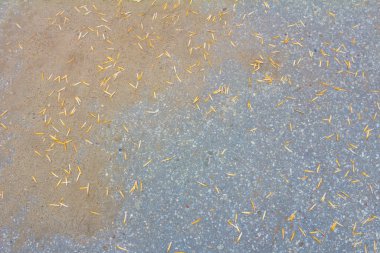 şehirli desenli ve grunge arkaplan