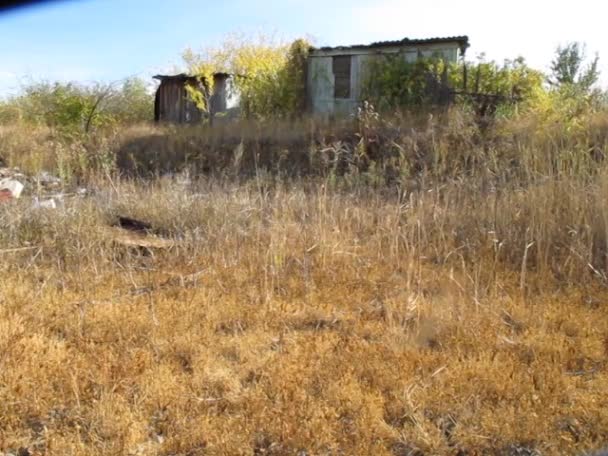 Casa Cerca Lago Seco Verano Día Soleado — Vídeo de stock