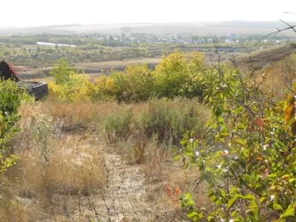 Paisaje Rural Día Soleado — Vídeo de stock