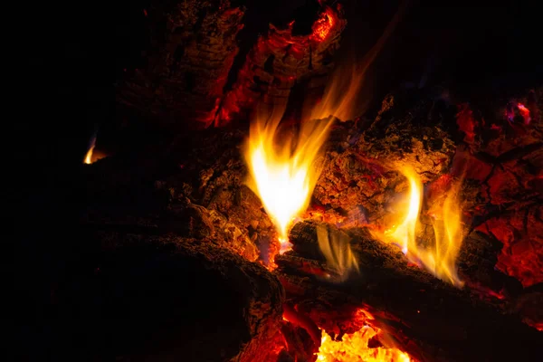 Bonfire Outdoors Evening — Stockfoto