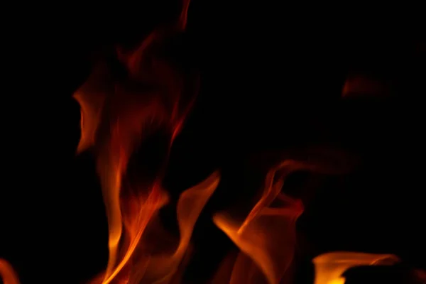 Bonfire Відкритому Повітрі Ввечері — стокове фото