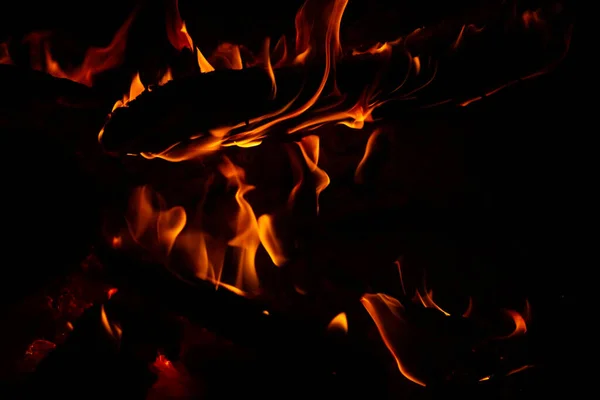 Lagerfeuer Freien Abend — Stockfoto