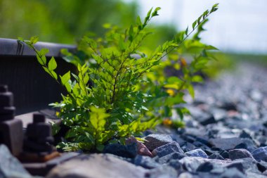 railways outdoors in the sunny day