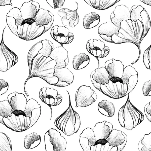 Black White Seamless Pattern Poppies — Stock Photo, Image