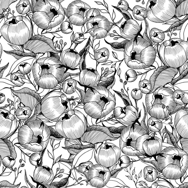 Graphic Pattern Peonies Hand Drawing — Stock Photo, Image