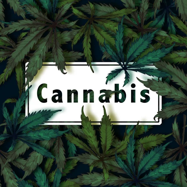 Wzór Ciemnym Tle Cannabis Sativa Efekt — Zdjęcie stockowe
