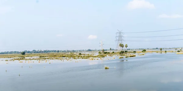 Agricultural land affected by flood. Flooded Food crop Fields. A Natural disaster in Agriculture and farming caused by due to heavy rain as Sea-level water rises. Eastern India, South Asia Pac. — ストック写真