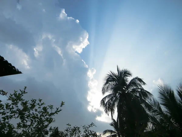 Dramático cielo azul al atardecer con nubes flotantes y esponjosas. Reflejo de la luz del sol desde la parte posterior haciendo silueta de palmera de coco. La belleza en la naturaleza. Alto fondo natural superior. Espacio de copia para texto — Foto de Stock