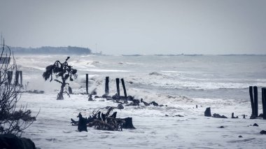 Şiddetli tropikal fırtına Bülbülü üzerinde fırtınalı deniz manzarası Batı Bengal ve Bangladeş 'i vurdu ve bu da kıyı adaları boyunca fırtına dalgalanmalarına ve sel baskınlarına neden oldu. Bakkali Hindistan