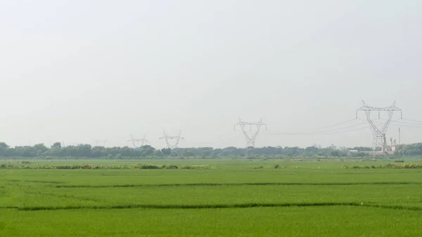 Elektrische und erneuerbare Energien Hochspannungsmast Stromübertragungsleitung in grünen ländlichen landwirtschaftlichen Feld Umwelt. Auswirkungen industrieller Technologie in der Landwirtschaft Hintergrundkonzept. Kopierraum — Stockfoto