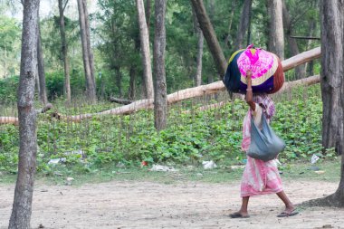 A tribal woman carry belongings on head, going to check her name on final list of National Register of Citizens office. NRC CAA CAB stripped many people from Indian citizenship. Assam India Sept 2019 clipart