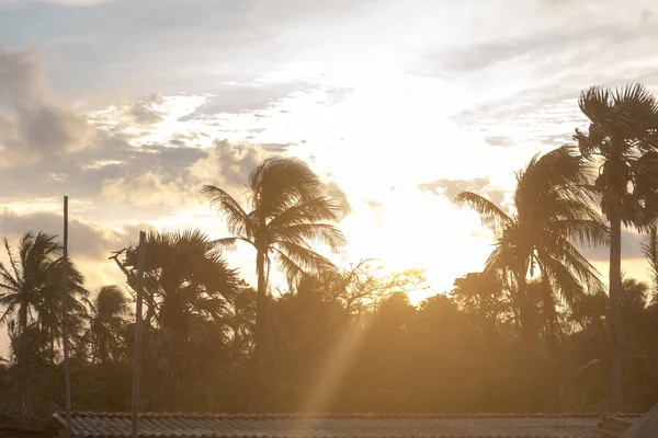 Silhouet kokosnoot palmboom door donkere rug Lit dakraam zon zonsondergang. Dramatische atmosferische stemming achtergrond. Schemering tot nachtelijk verval. Tropisch eiland Strand klimaat. Achtergrond natuur scene. — Stockfoto