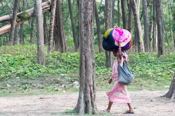 Una mujer tribal lleva pertenencias en la cabeza, va a comprobar su nombre en la lista final de la oficina del Registro Nacional de Ciudadanos. NRC CAA CAB despojó a muchas personas de la ciudadanía india. Assam India Sept 2019 — Foto de Stock