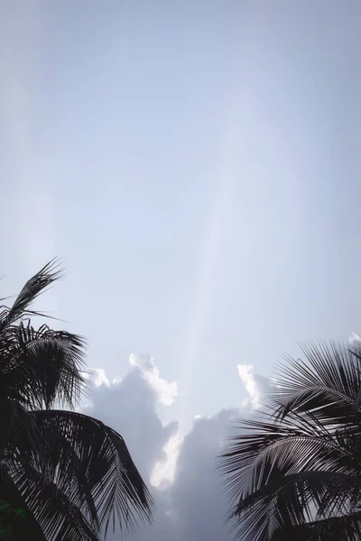 椰子树的背影在夏日夕阳西下的时候被戏剧性的天空照亮了 热带海滩金丝雀岛的大气氛围 把重点放在前景上 大自然的美丽 复制上面的空间 — 图库照片