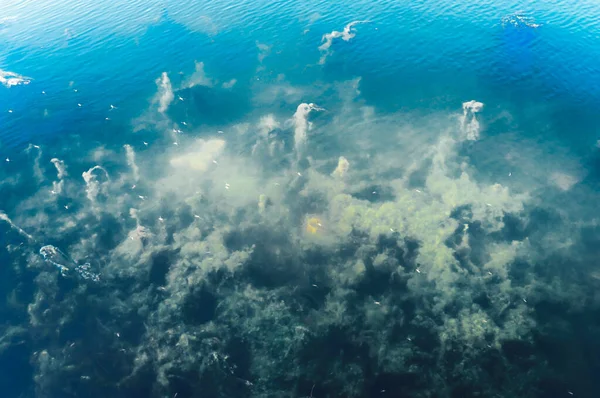 Στο Βυθό Του Ωκεανού Αφηρημένη Υφή Μοτίβο Και Χρώμα Υδάτινοι — Φωτογραφία Αρχείου