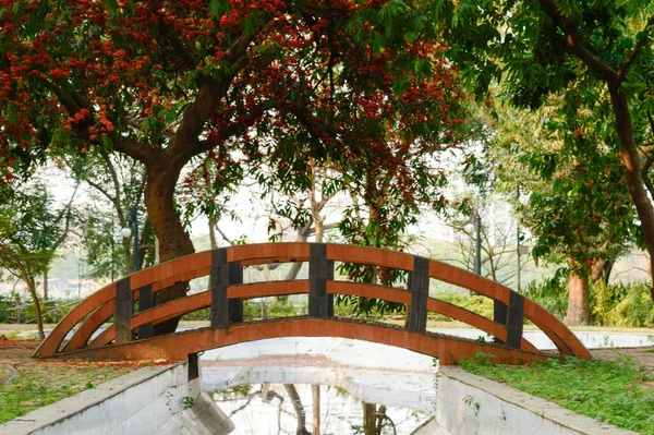 Bahçe Parkı Şehrinde Akçaağaç Tepe Örtüsü Sonbahar Rengi Kırmızı Çiçek — Stok fotoğraf