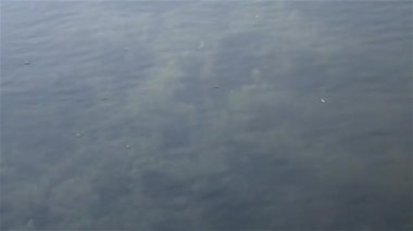 Derin Mavi Okyanus Zemini. Soyut desen dokusu ve rengi. Su canlıları deniz yaşamı arka planı. Doğal Duvar kağıtları tasarım elementleri.