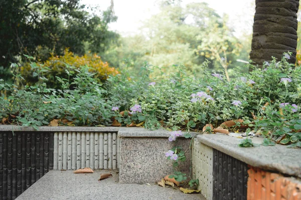 Marble Rock Fait Des Marches Des Escaliers Banc Parc Parc — Photo