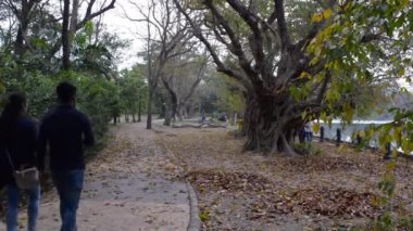 Gün batımında güzel Autumn Park. Ağaçlarla kaplı orman yolu bahar zamanı dökülen yapraklarla doludur. Rabindra Sarovar göl bölgesi, Kolkata Batı Bengal Hindistan Güney Asya Pac