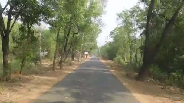 阳光灿烂的一天 开车在一条空旷的森林长路上 前窗司机座位的观点快速移动的汽车 Mukutmanipur West Bengal India South Asia Pacific — 图库视频影像