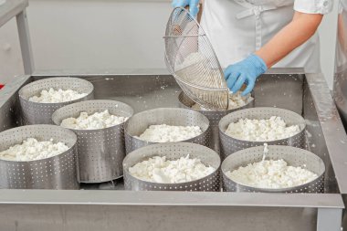 Peynir pişirme süreci, eller peyniri şekillendirir.