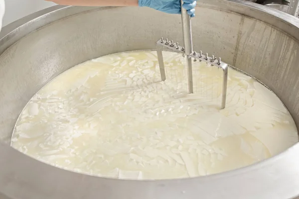 制作奶酪的牛奶罐 手工制作奶酪 — 图库照片