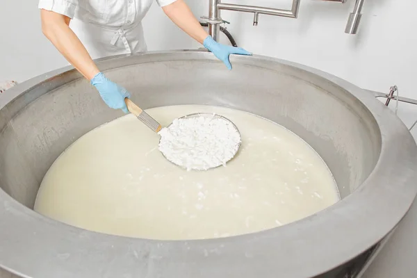 制作奶酪的牛奶罐 手工制作奶酪 — 图库照片