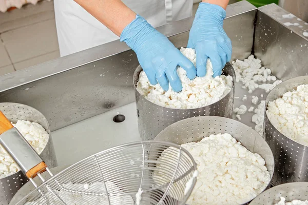 Peynir pişirme süreci, eller peyniri şekillendirir.