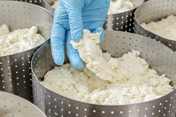 在烹调奶酪的过程中 用手把奶酪做成了形状 — 图库照片