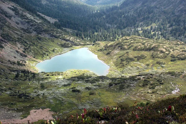 Superbe vue panoramique sur le lac en forme de cœur, sur le sentier de randonnée, par une journée ensoleillée d'été, Russie — Photo