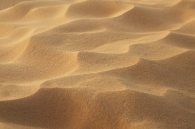 Çölde kum tepesi. Güzel doğal bej arkaplan