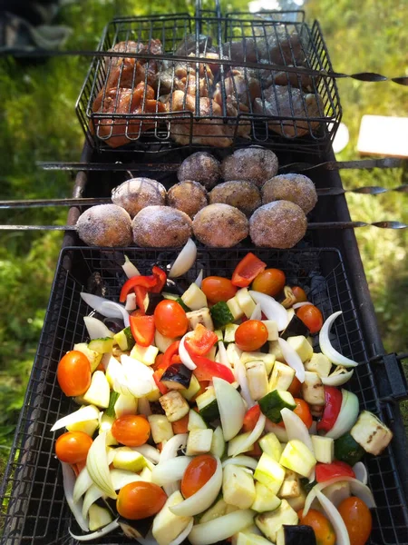 Verduras y carne cocinada en la barbacoa para un picnic — Foto de Stock