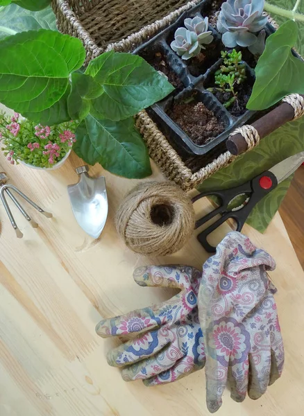 Uppsättning trädgårdsredskap på ett träbord — Stockfoto