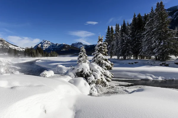 冬季与拉马尔河的冬季景观 拉马尔山谷 黄石公园 蒙大拿 怀俄明州 乌萨州 — 图库照片
