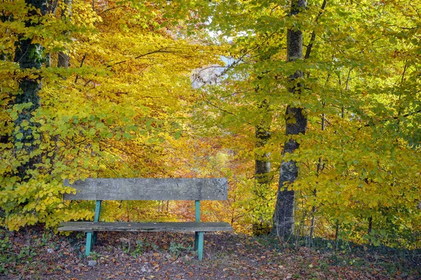 Little Bench Hikers Forest Autumn Colors Haute Savoie France — Stock Photo, Image