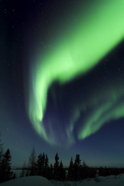 NightSky aydınlandı aurora borealis, Kuzey ışıkları, wapusk Milli Parkı, ile Manitoba, Kanada.