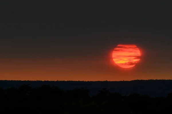 Африканский Восход Солнца Над Саванной Национальный Парк Крюгер Юар — стоковое фото