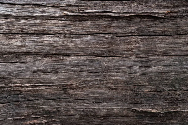 Fondo de madera mojada. Textura del viejo nervio húmedo . —  Fotos de Stock