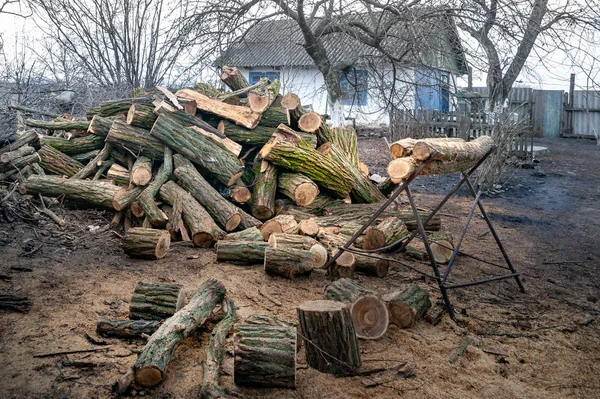 Ho visto vecchi tronchi in un cortile rustico. Una pila di tronchi in una segheria. Legna da ardere. Tronchi per il camino. Raccolta di legna. Foresta per l'inverno . — Foto Stock